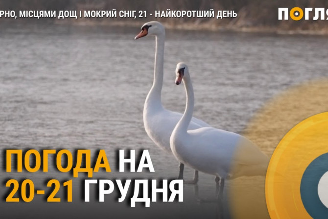 Суспільство - a0a2376f-e941-46af-9a41-aa429be81000 - зображення